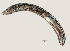  ( - NID-N971)  @11 [ ] CreativeCommons - Attribution Non-Commercial (2017) Tom Powers University of Nebraska