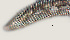  ( - NID-N971)  @11 [ ] CreativeCommons - Attribution Non-Commercial (2017) Tom Powers University of Nebraska