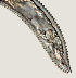  ( - NID-N972)  @11 [ ] CreativeCommons - Attribution Non-Commercial (2017) Tom Powers University of Nebraska