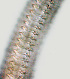  ( - NID-N989)  @11 [ ] CreativeCommons - Attribution Non-Commercial (2017) Tom Powers University of Nebraska