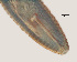  ( - NID-N9)  @11 [ ] CreativeCommons - Attribution Non-Commercial (2017) Tom Powers University of Nebraska