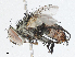  ( - CBG-A04495-F02)  @11 [ ] CreativeCommons - Attribution (2023) CBG Photography Group Centre for Biodiversity Genomics