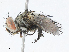  ( - CBG-A04495-F07)  @11 [ ] CreativeCommons - Attribution (2023) CBG Photography Group Centre for Biodiversity Genomics
