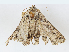  ( - CBG-A04496-F11)  @11 [ ] CreativeCommons - Attribution (2023) CBG Photography Group Centre for Biodiversity Genomics
