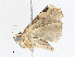  ( - CBG-A04497-E03)  @11 [ ] CreativeCommons - Attribution (2023) CBG Photography Group Centre for Biodiversity Genomics
