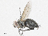  ( - CBG-A04521-B07)  @11 [ ] CreativeCommons - Attribution (2023) CBG Photography Group Centre for Biodiversity Genomics