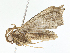  ( - CBG-A05367-H02)  @11 [ ] CreativeCommons - Attribution (2023) CBG Photography Group Centre for Biodiversity Genomics