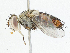  ( - CBG-A05370-A02)  @11 [ ] CreativeCommons - Attribution (2023) CBG Photography Group Centre for Biodiversity Genomics