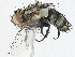  ( - CBG-A05370-C01)  @11 [ ] CreativeCommons - Attribution (2023) CBG Photography Group Centre for Biodiversity Genomics