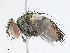  ( - CBG-A05370-E03)  @11 [ ] CreativeCommons - Attribution (2023) CBG Photography Group Centre for Biodiversity Genomics