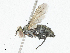  ( - CBG-A05370-H06)  @11 [ ] CreativeCommons - Attribution (2023) CBG Photography Group Centre for Biodiversity Genomics