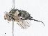  ( - CBG-A05371-A03)  @11 [ ] CreativeCommons - Attribution (2023) CBG Photography Group Centre for Biodiversity Genomics