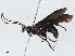  ( - CBG-A05371-B12)  @11 [ ] CreativeCommons - Attribution (2023) CBG Photography Group Centre for Biodiversity Genomics