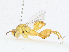  ( - CBG-A05371-D05)  @11 [ ] CreativeCommons - Attribution (2023) CBG Photography Group Centre for Biodiversity Genomics