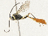  ( - CBG-A05372-H06)  @11 [ ] CreativeCommons - Attribution (2023) CBG Photography Group Centre for Biodiversity Genomics