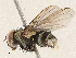 ( - CBG-A05373-B02)  @11 [ ] CreativeCommons - Attribution (2023) CBG Photography Group Centre for Biodiversity Genomics