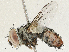  ( - CBG-A05373-G01)  @11 [ ] CreativeCommons - Attribution (2023) CBG Photography Group Centre for Biodiversity Genomics