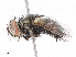 ( - CBG-A05423-H07)  @11 [ ] CreativeCommons - Attribution (2023) CBG Photography Group Centre for Biodiversity Genomics