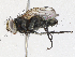  ( - CBG-A05424-A02)  @11 [ ] CreativeCommons - Attribution (2023) CBG Photography Group Centre for Biodiversity Genomics