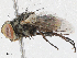  ( - CBG-A05424-A06)  @11 [ ] CreativeCommons - Attribution (2023) CBG Photography Group Centre for Biodiversity Genomics