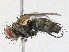  ( - CBG-A05424-A07)  @11 [ ] CreativeCommons - Attribution (2023) CBG Photography Group Centre for Biodiversity Genomics