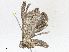  ( - CBG-A05426-G10)  @11 [ ] CreativeCommons - Attribution (2023) CBG Photography Group Centre for Biodiversity Genomics