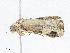  ( - CBG-A05428-A05)  @11 [ ] CreativeCommons - Attribution (2023) CBG Photography Group Centre for Biodiversity Genomics