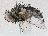  ( - CBG-A06207-G04)  @11 [ ] CreativeCommons - Attribution (2023) CBG Photography Group Centre for Biodiversity Genomics