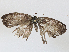  ( - CBG-A06208-C06)  @11 [ ] CreativeCommons - Attribution (2023) CBG Photography Group Centre for Biodiversity Genomics