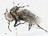  ( - CBG-A06209-E07)  @11 [ ] CreativeCommons - Attribution (2023) CBG Photography Group Centre for Biodiversity Genomics