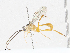  ( - CBG-A06209-F07)  @11 [ ] CreativeCommons - Attribution (2023) CBG Photography Group Centre for Biodiversity Genomics