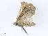  ( - CBG-A06211-C11)  @11 [ ] CreativeCommons - Attribution (2023) CBG Photography Group Centre for Biodiversity Genomics