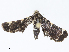  ( - CBG-A05429-B11)  @11 [ ] CreativeCommons - Attribution Share - Alike (2023) CBG Photography Group Centre for Biodiversity Genomics
