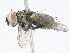  ( - CBG-A05429-C04)  @11 [ ] CreativeCommons - Attribution Share - Alike (2023) CBG Photography Group Centre for Biodiversity Genomics