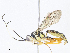  ( - CBG-A05429-D09)  @11 [ ] CreativeCommons - Attribution Share - Alike (2023) CBG Photography Group Centre for Biodiversity Genomics