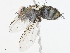  ( - CBG-A05429-F01)  @11 [ ] CreativeCommons - Attribution Share - Alike (2023) CBG Photography Group Centre for Biodiversity Genomics