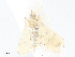  ( - CBG-A05429-F10)  @11 [ ] CreativeCommons - Attribution Share - Alike (2023) CBG Photography Group Centre for Biodiversity Genomics