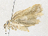  ( - CBG-A31785-C05)  @11 [ ] CreativeCommons - Attribution Share - Alike (2024) CBG Photography Group Centre for Biodiversity Genomics