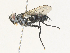  ( - CBG-A31786-D01)  @11 [ ] CreativeCommons - Attribution Share-Alike (2024) CBG Photography Group Centre for Biodiversity Genomics