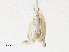  (cramMalaise01 Malaise3313 - CBG-A31787-F12)  @11 [ ] CreativeCommons - Attribution Share-Alike (2024) CBG Photography Group Centre for Biodiversity Genomics
