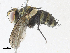  ( - CBG-A31788-E10)  @11 [ ] CreativeCommons - Attribution Share-Alike (2024) CBG Photography Group Centre for Biodiversity Genomics