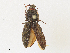  ( - CBG-A33438-A06)  @11 [ ] CreativeCommons - Attribution Share - Alike (2024) CBG Photography Group Centre for Biodiversity Genomics