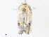  ( - CBG-A33438-C10)  @11 [ ] CreativeCommons - Attribution Share - Alike (2024) CBG Photography Group Centre for Biodiversity Genomics