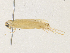  ( - CBG-A33439-G05)  @11 [ ] CreativeCommons - Attribution Share - Alike (2024) CBG Photography Group Centre for Biodiversity Genomics