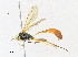  ( - CBG-A33442-A12)  @11 [ ] CreativeCommons - Attribution Share - Alike (2024) CBG Photography Group Centre for Biodiversity Genomics