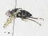  ( - CBG-A33442-C09)  @11 [ ] CreativeCommons - Attribution Share - Alike (2024) CBG Photography Group Centre for Biodiversity Genomics