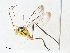  ( - CBG-A33442-D11)  @11 [ ] CreativeCommons - Attribution Share - Alike (2024) CBG Photography Group Centre for Biodiversity Genomics