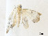  ( - CBG-A33442-E10)  @11 [ ] CreativeCommons - Attribution Share - Alike (2024) CBG Photography Group Centre for Biodiversity Genomics