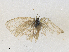  ( - CBG-A33442-F03)  @11 [ ] CreativeCommons - Attribution Share - Alike (2024) CBG Photography Group Centre for Biodiversity Genomics