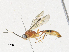  ( - CBG-A33444-B08)  @11 [ ] CreativeCommons - Attribution Share-Alike (2024) CBG Photography Group Centre for Biodiversity Genomics